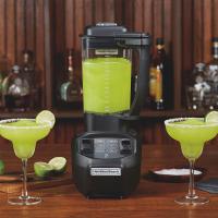 Hamilton Beach HBB 255S Bar Blender