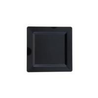 PL.S22 Kare Plastik Tabak 22 cm PS ( Koli İçi Adet 100 )