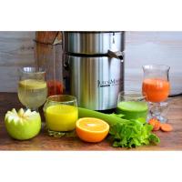 Profesyonel Katı Meyve Presi Juicemaster 42.8