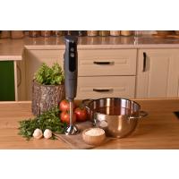 TECHNIC 1700 WATT ÇUBUK BLENDER GRI